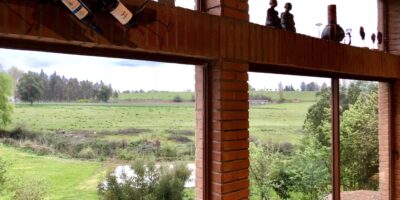 BF397E92-3AD9-4BC2-A6B0-BE55B0B146F3_1_201_a